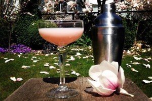 Magnolia cocktail