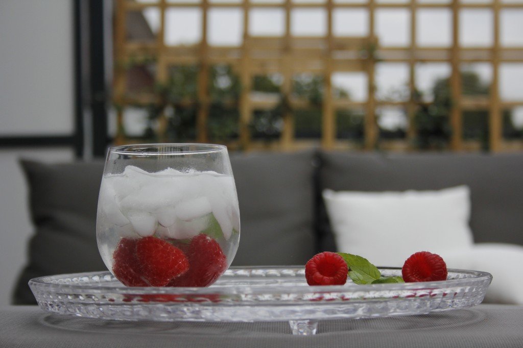Gin Tonic Frozen Raspberry