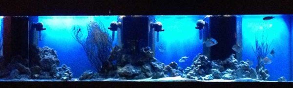 Aquarium Dvars