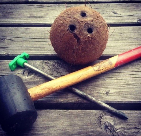 Kokosnoot cocktails Kokosnoot cocktails