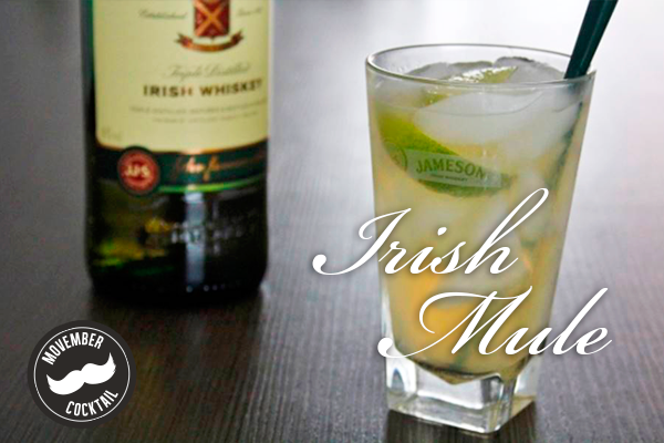 Irish Mule Movember